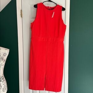 Ann Taylor Vibrant Red/Coral Dress